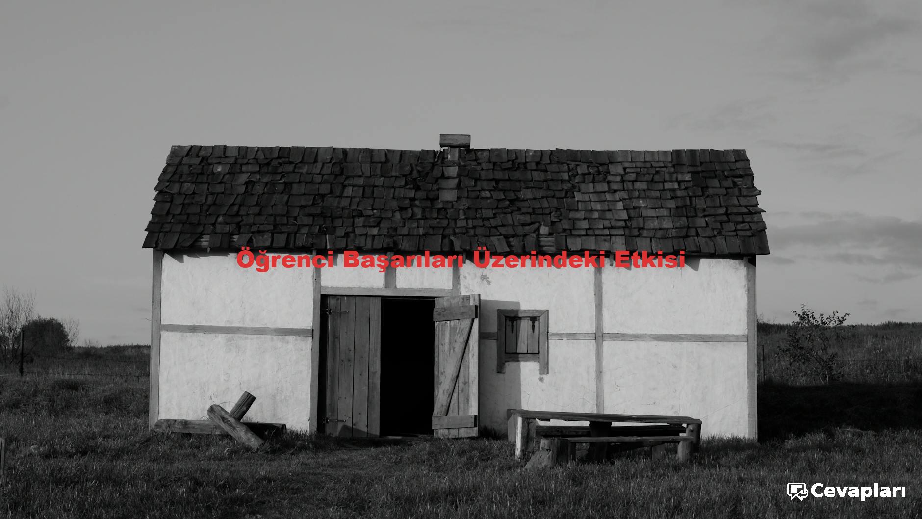 Öğrenci Başarıları Üzerindeki Etkisi