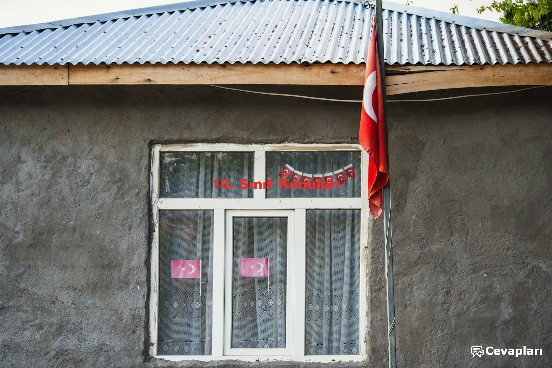 10. Sınıf Konuları
