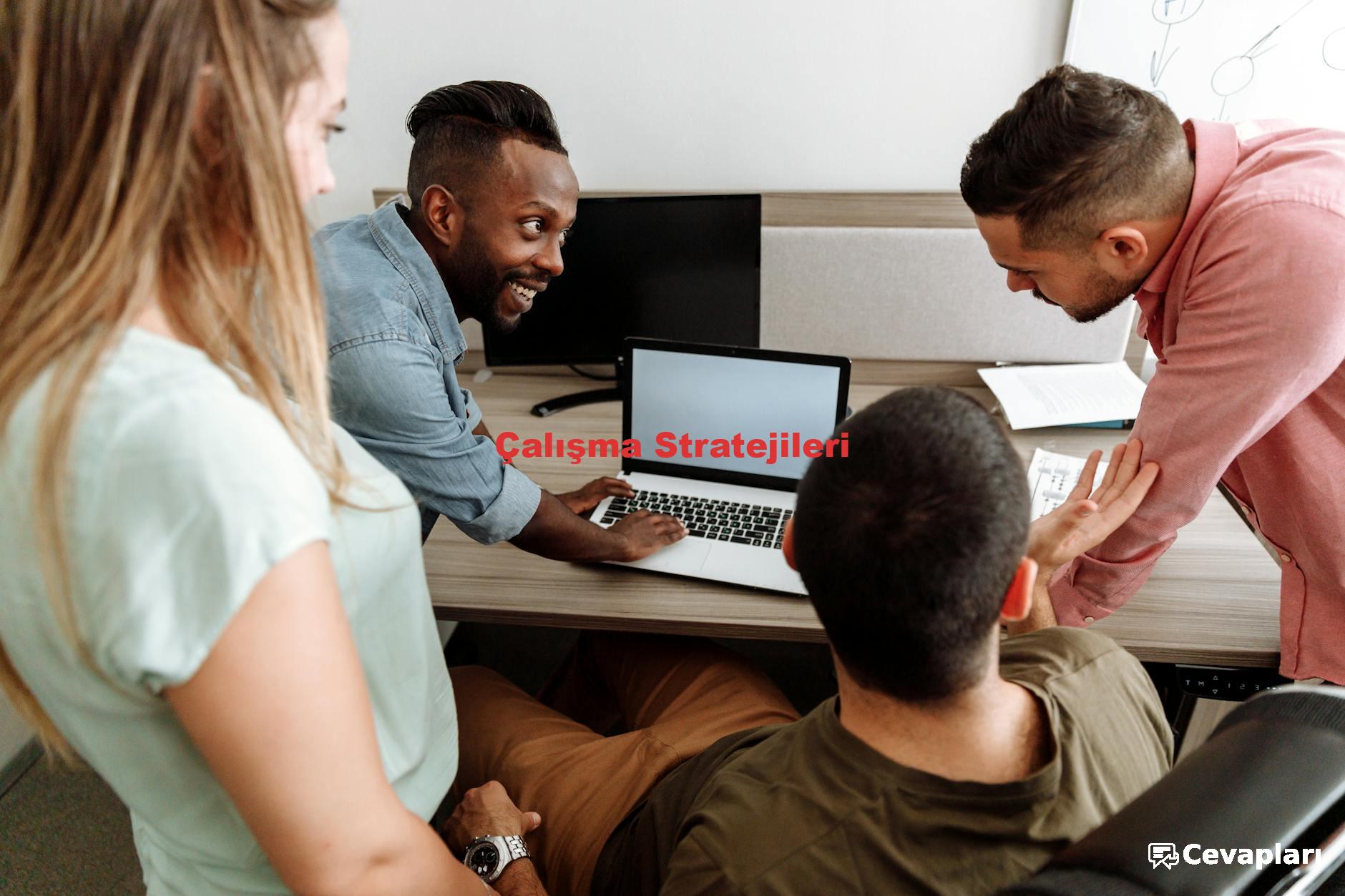 Çalışma Stratejileri