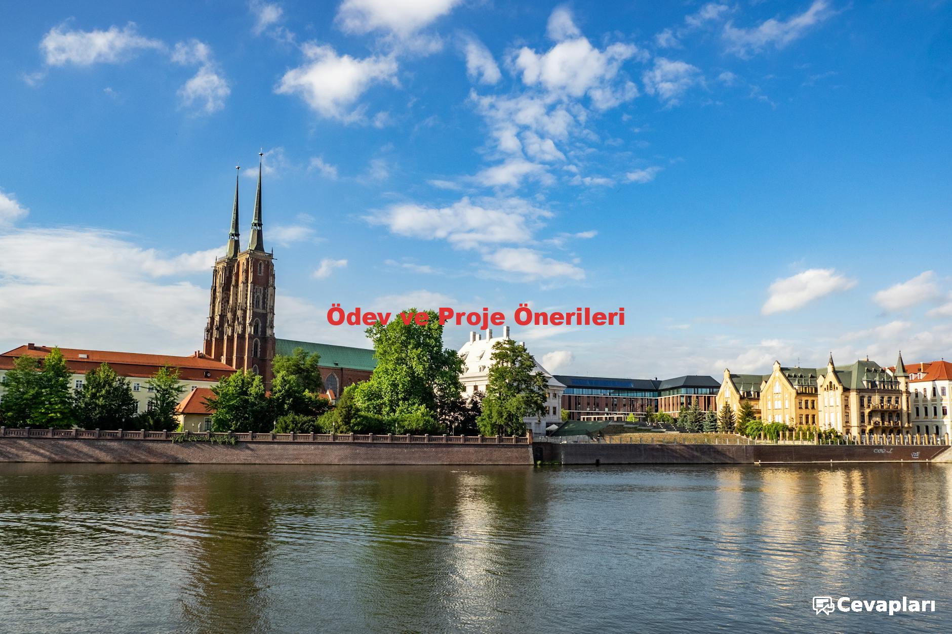 Ödev ve Proje Önerileri