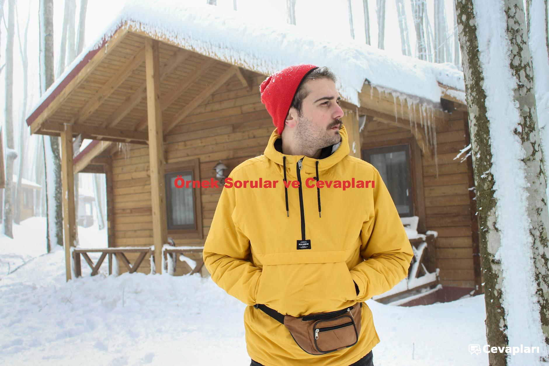 Örnek Sorular ve Cevapları