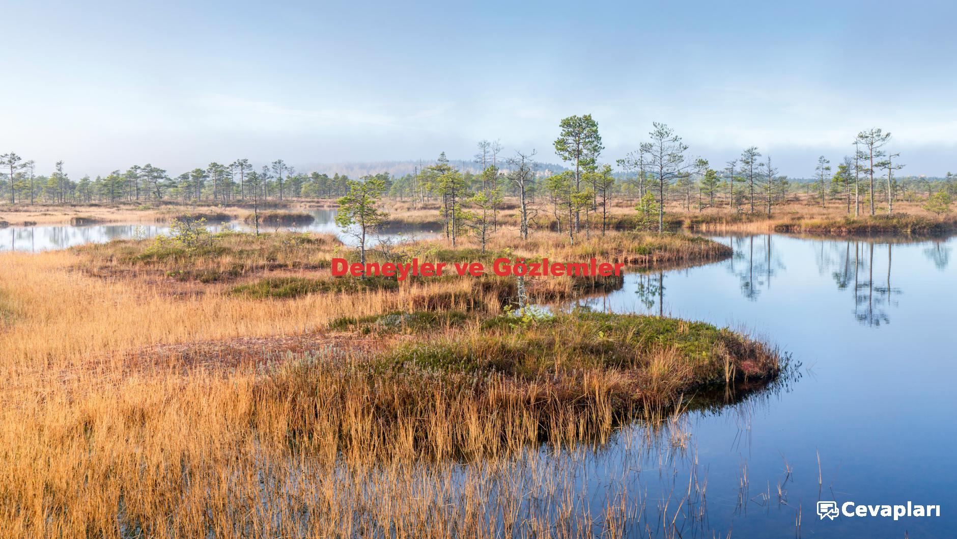 Deneyler ve Gözlemler