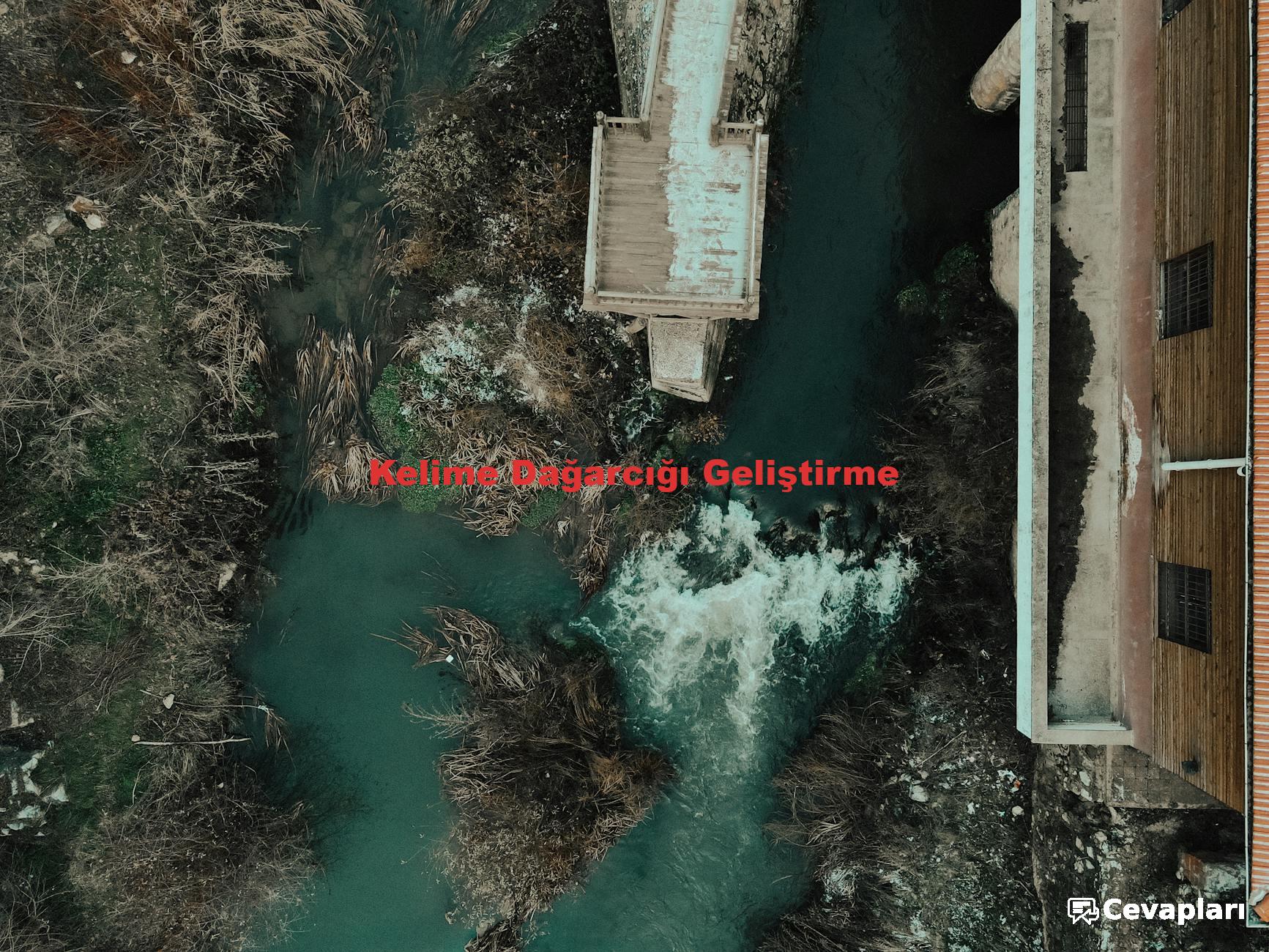 Kelime Dağarcığı Geliştirme