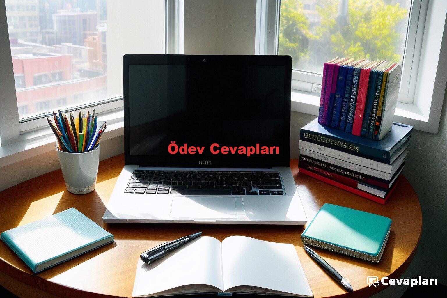 Ödev Cevapları