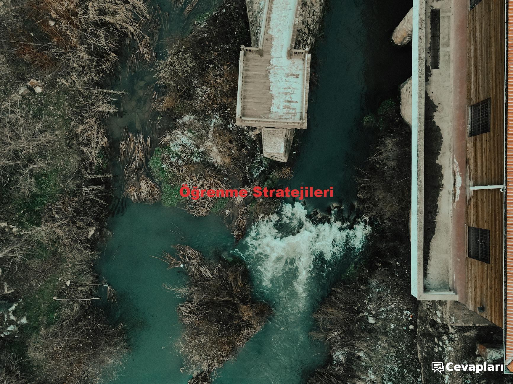 Öğrenme Stratejileri